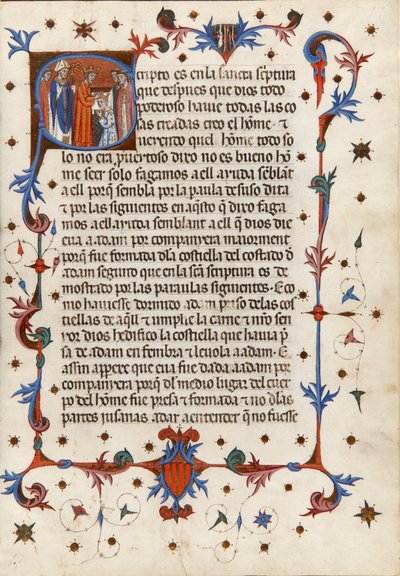Ceremonial de consagración y coronación de los reyes y reinas de Aragón de Unbekannt