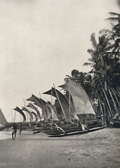Barcos de pesca cingaleses con estabilizador, 1926 de Unbekannt