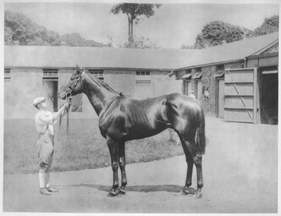 Chandon, 1911 de Unbekannt