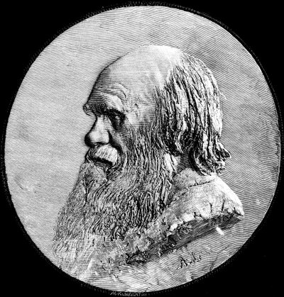 Charles Darwin, 1882 de Unbekannt