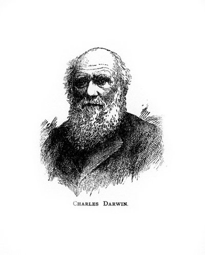 Charles Darwin, naturalista británico del siglo XIX, siglo XX de Unbekannt