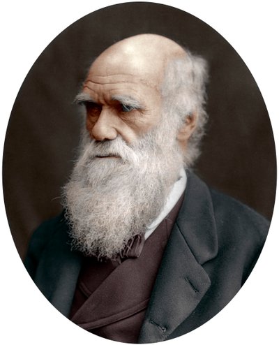 Charles Darwin, naturalista británico, 1878 de Unbekannt