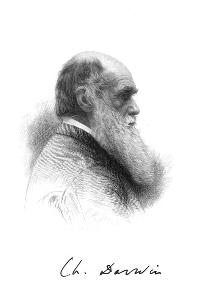 Charles Darwin, naturalista inglés de Unbekannt