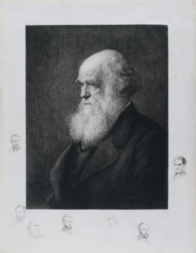 Charles Darwin, naturalista inglés, c 1860s de Unbekannt
