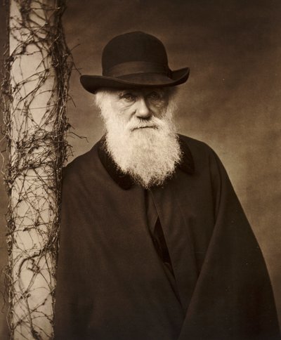 Charles Darwin en su casa en Down House, Kent, c1880 de Unbekannt