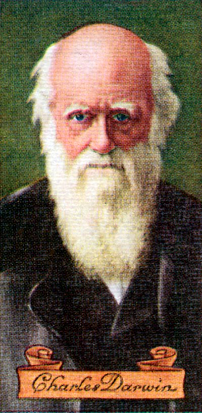 Charles Darwin, tomado de una serie de tarjetas de cigarrillos, 1935 de Unbekannt