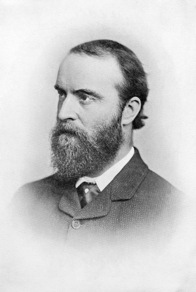 Charles Stuart Parnell, político irlandés del siglo XIX de Unbekannt