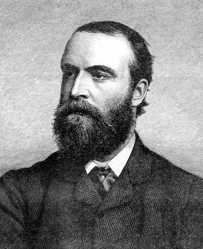 Charles Stuart Parnell, político irlandés del siglo XIX, c1874-1891 de Unbekannt