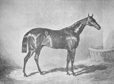 Carlos XII, ganador del St. Leger 1839 de Unbekannt