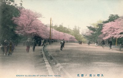 Cerezos en flor en el Parque Uyeno Tokio, c. 1910 de Unbekannt