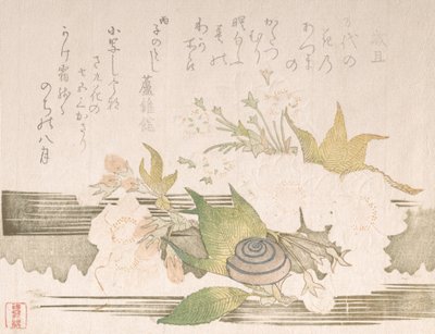 Flores de cerezo y un caracol, 1816 de Unbekannt