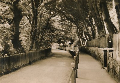 Avenida Chine, Shanklin, I.W., c1920 de Unbekannt