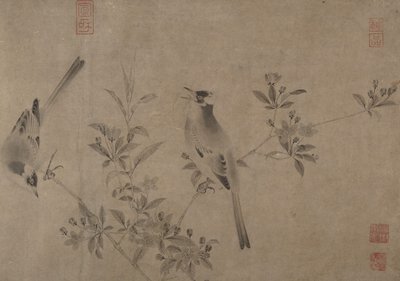 Bulbul chino en cerezo en flor de Unbekannt