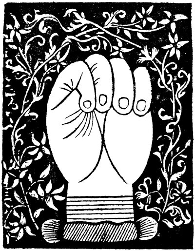 Quiromancia: Líneas de la mano cerrada de Andre Corvo L