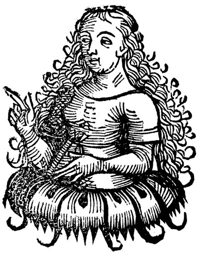 Sibila Cimeria, 1493 de Unbekannt