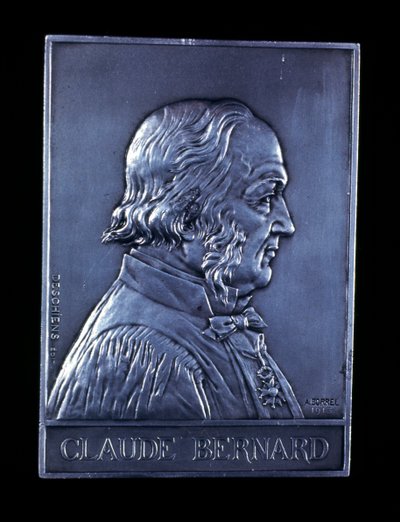 Claude Bernard, fisiólogo francés del siglo XIX, 1913 de Unbekannt