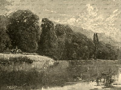 Bosques de Cliefden, 1898 de Unbekannt