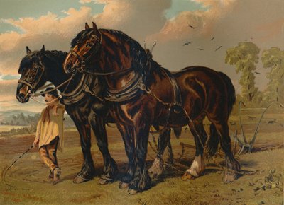 Semental y yegua Clydesdale, c. 1879 de Unbekannt