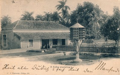 Plantación de café, c1900 de Unbekannt