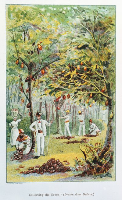 Recolección de cacao, Venezuela, 1892 de Unbekannt