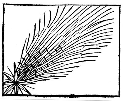 Cometa de Halley de 684, 1493 de Unbekannt