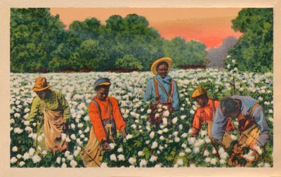 Recolección de algodón, Augusta, Georgia, 1943 de Unbekannt