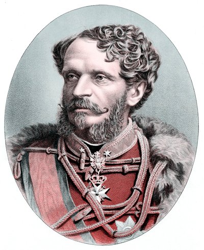 Conde Julius Andrassy 1823-1890, estadista húngaro, c1880 de Unbekannt