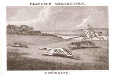 Caza con galgos-11, 1924 de Unbekannt