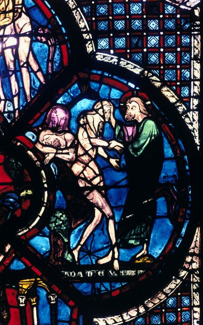 Creación de Eva, vidriera, Catedral de Chartres, Francia, 1205-1215 de Unbekannt