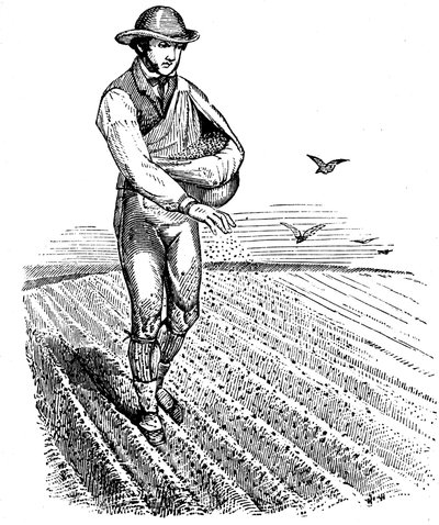 Rotación de cultivos: siembra a voleo, 1855 de Unbekannt