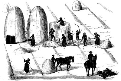 Rotación de cultivos: trilla de hierba de centeno para semilla, 1855 de Unbekannt