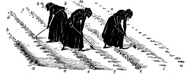 Rotación de cultivos: mujeres aclarando nabos, 1855 de Unbekannt
