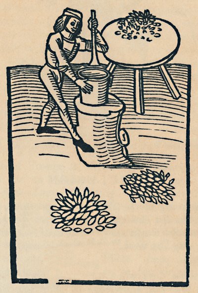 Triturando hierbas en un mortero, 1947 de Unbekannt
