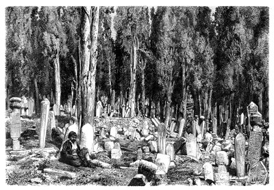 Cipreses en el cementerio de Scutari, Turquía, 1895 de Unbekannt