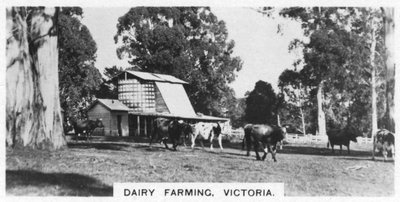 Ganadería lechera, Victoria, Australia, 1928 de Unbekannt