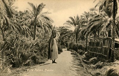 Palmeras datileras, Basora, c. 1918-c. 1939 de Unbekannt