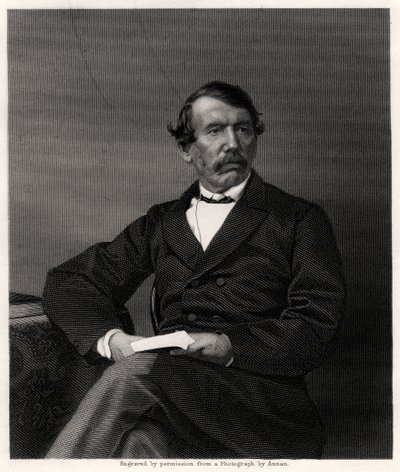 David Livingstone, misionero escocés y explorador africano, siglo XIX de Unbekannt
