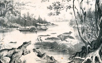 David Livingstone navegando el Zambezi, África, 1852-1864, c1878 de Unbekannt