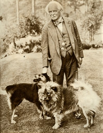 David Lloyd George, 1935 de Unbekannt