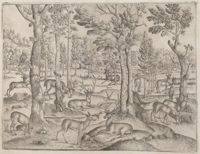Ciervos en el bosque, c. 1520 de Unbekannt