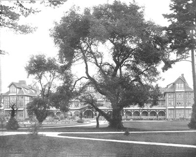 Del Monte, Monterey, California, EE.UU., c1900 de Unbekannt