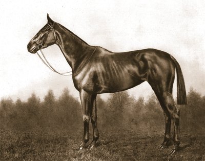Modesta, 1911 de Unbekannt
