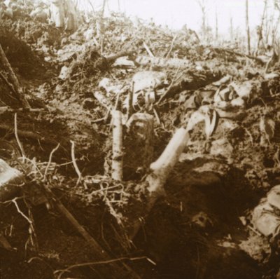 Refugio destruido, Les Éparges, norte de Francia, 1915 de Unbekannt