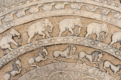 Detalle; relieve histórico en piedra; piedra lunar con representaciones de animales; elefantes; caballos; piedra en una escalera; Sala del Consejo del Rey Parakrama Bahu I; distrito de la ciudad interior; Polonnaruwa; Sri Lanka; Asia de Unbekannt