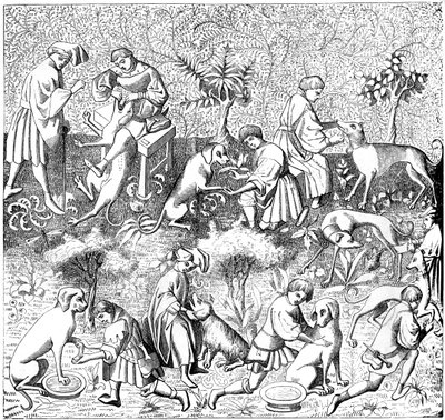 Enfermedades de los perros y sus curas, siglo XIV de Unbekannt