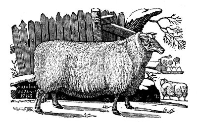 Ovejas Dishley New Leicester, 1811 de Unbekannt