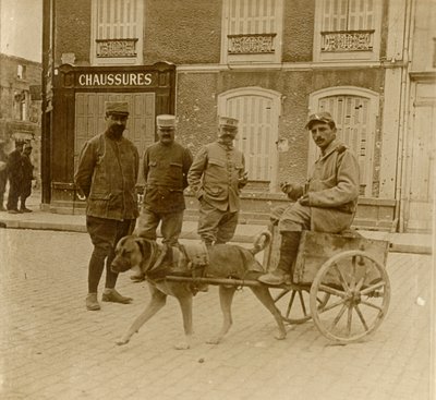 Carro de perros, Francia, c1914-c1918 de Unbekannt