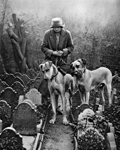 Cementerio de perros, Victoria Gate, Bayswater, Londres, 1926-1927 de Unbekannt