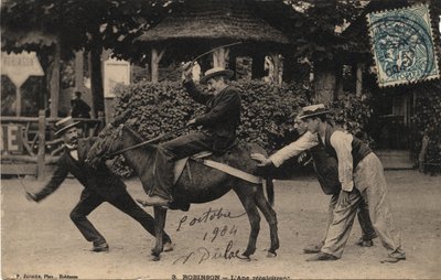 Burro Tetu y Recalcitrante - Postal fechada en 1904 de Unbekannt