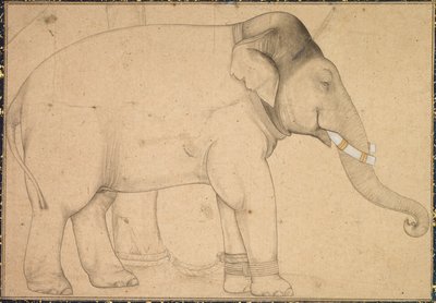 Dibujo de un elefante, c. 1700 de Unbekannt